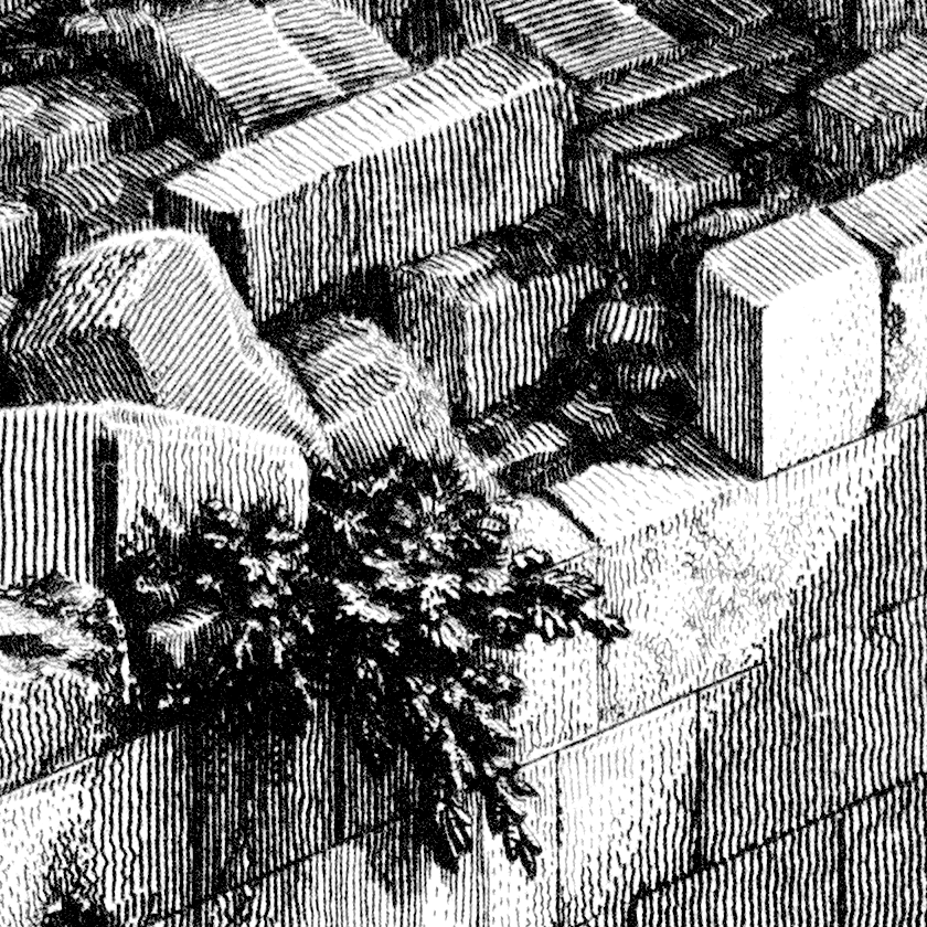 detail of Piranesi